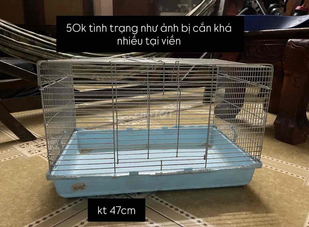Lồng thú cưng Kim loại, nhựa Xám, xanh dương 47cm. Mua bán Phụ kiện, Thức ăn, Dịch vụ tại Quận Bình Tân Tp Hồ Chí Minh được đăng bởi Minh Thiện hình 1