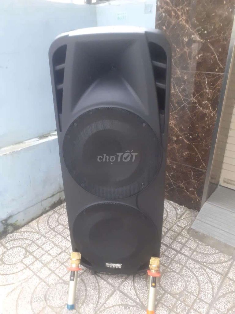 Loa kéo Teimesheng Bluetooth 2bass40 2treble