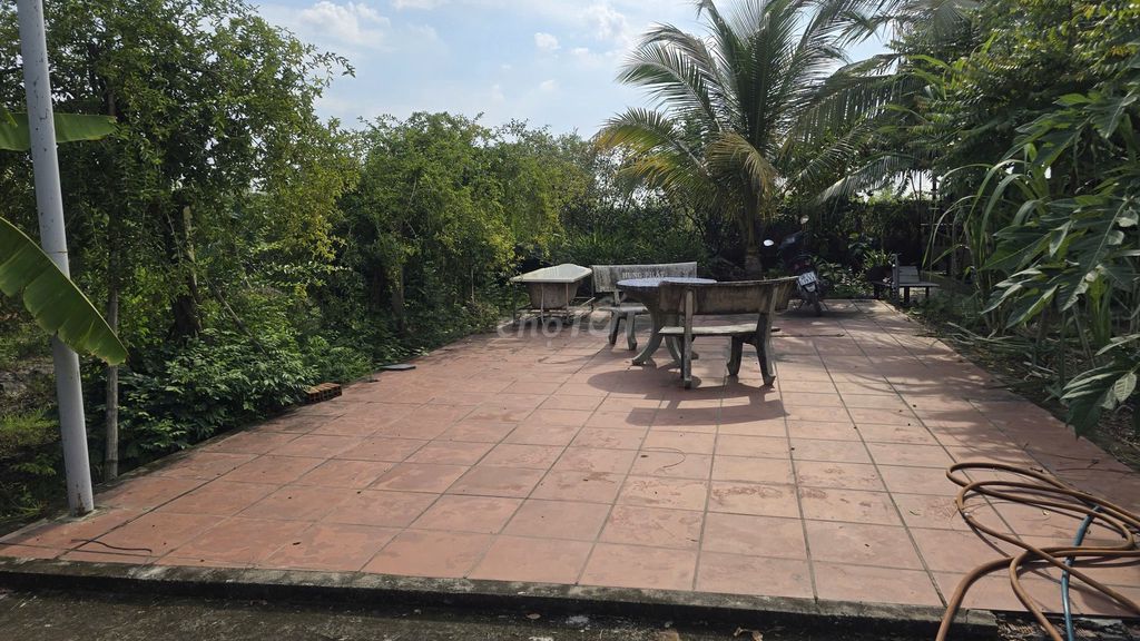 1200m2 nhà vườn kênh cây Xanh xã Bình Mỹ chỉ 3.6 tỷ Đường Bình Mỹ, Xã Bình Mỹ, Huyện Củ Chi, Tp Hồ Chí Minh Huyện Củ Chi Tp Hồ Chí Minh