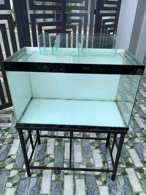 Hồ Cá Cảnh Kích Thước 80*50*40 tặng chân và bể lọc. Mua bán Phụ kiện, Thức ăn, Dịch vụ tại Thị xã Bến Cát Bình Dương được đăng bởi Quách Tỉnh