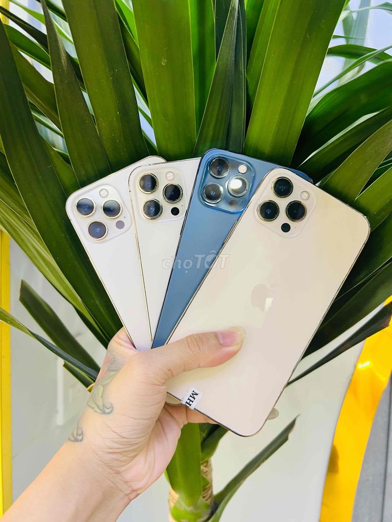 iphone 12 Pro-12ProMax 128-256gb trả góp 0đ. Mua bán Điện thoại tại Quận Lê Chân Hải Phòng được đăng bởi hải phòng hình 1