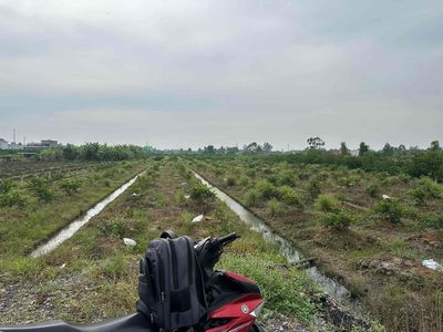 🌈🌈 Bán 4.300m² đất vườn MT Kênh Bà Thiện. Mua bán đất tại Huyện Bến Lức Long An được đăng bởi BDS Thành Đạt