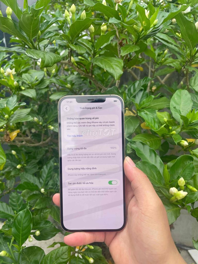 Apple iPhone 12 Pro Max 512GB Vàng Đã thay pin. Mua bán Điện thoại tại Quận Kiến An Hải Phòng được đăng bởi Nguyễn Tuyền  hình 1