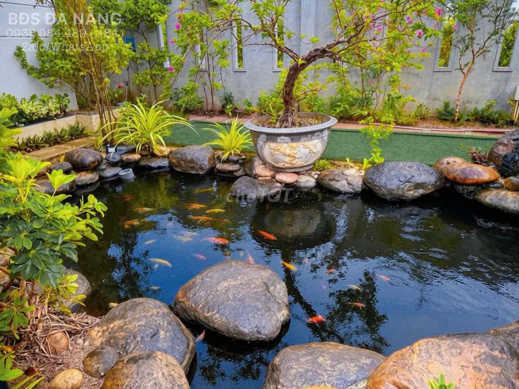🌿 CHO THUÊ BIỆT THỰ SÂN VƯỜN – NGŨ HÀNH SƠN, ĐÀ NẴNG 🌿