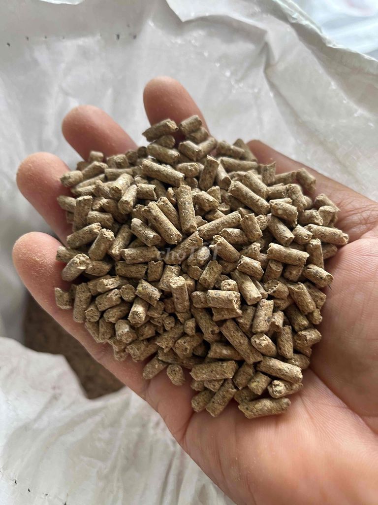 Thức ăn chăn nuôi cho Heo. Mua bán Phụ kiện, Thức ăn, Dịch vụ tại Huyện Long Hồ Vĩnh Long được đăng bởi  Lê hình 1