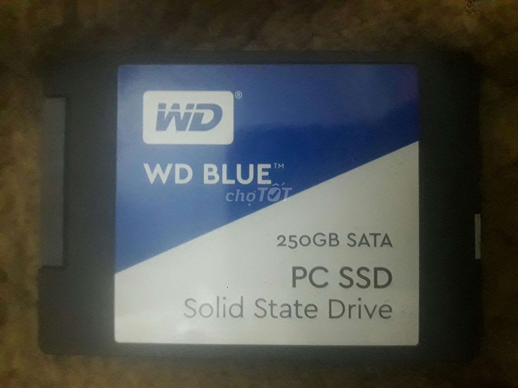 ssd 250g wd blue