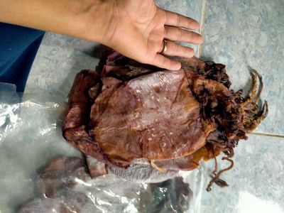 Khô mực 6-10 con/kg. Mua bán Đồ ăn, thực phẩm và các loại khác tại Thành phố Thuận An Bình Dương được đăng bởi Lê như hổ 