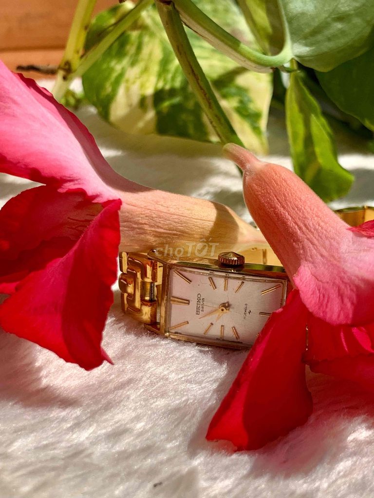 Đồng hồ nữ Seiko Vàng Cơ lên dây 22x28mm. Mua bán Đồng hồ tại Thành phố Cao Lãnh Đồng Tháp được đăng bởi Mua va Bán hình 1
