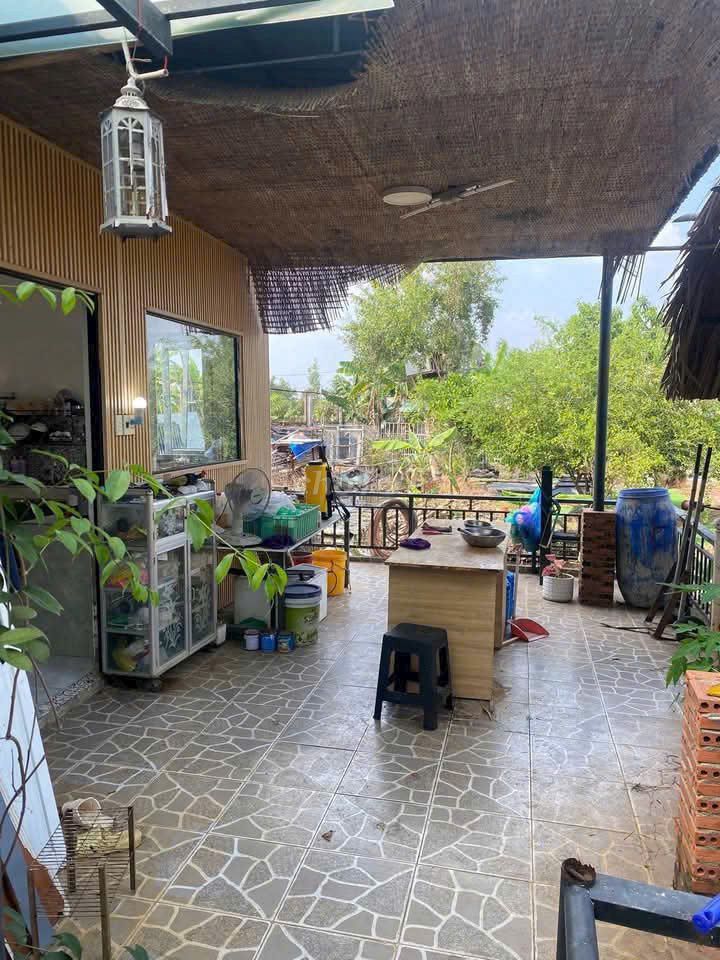 ? Nhà vườn 1000m² Bình Mỹ – Sẵn ở ngay ? vo, Xã Bình Mỹ, Huyện Củ Chi, Tp Hồ Chí Minh Huyện Củ Chi Tp Hồ Chí Minh