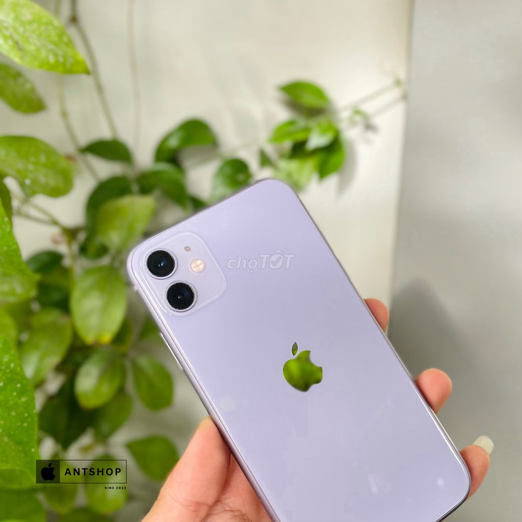 𝐢𝐏𝐡𝐨𝐧𝐞 11 64GB Tím Đẹp 98%