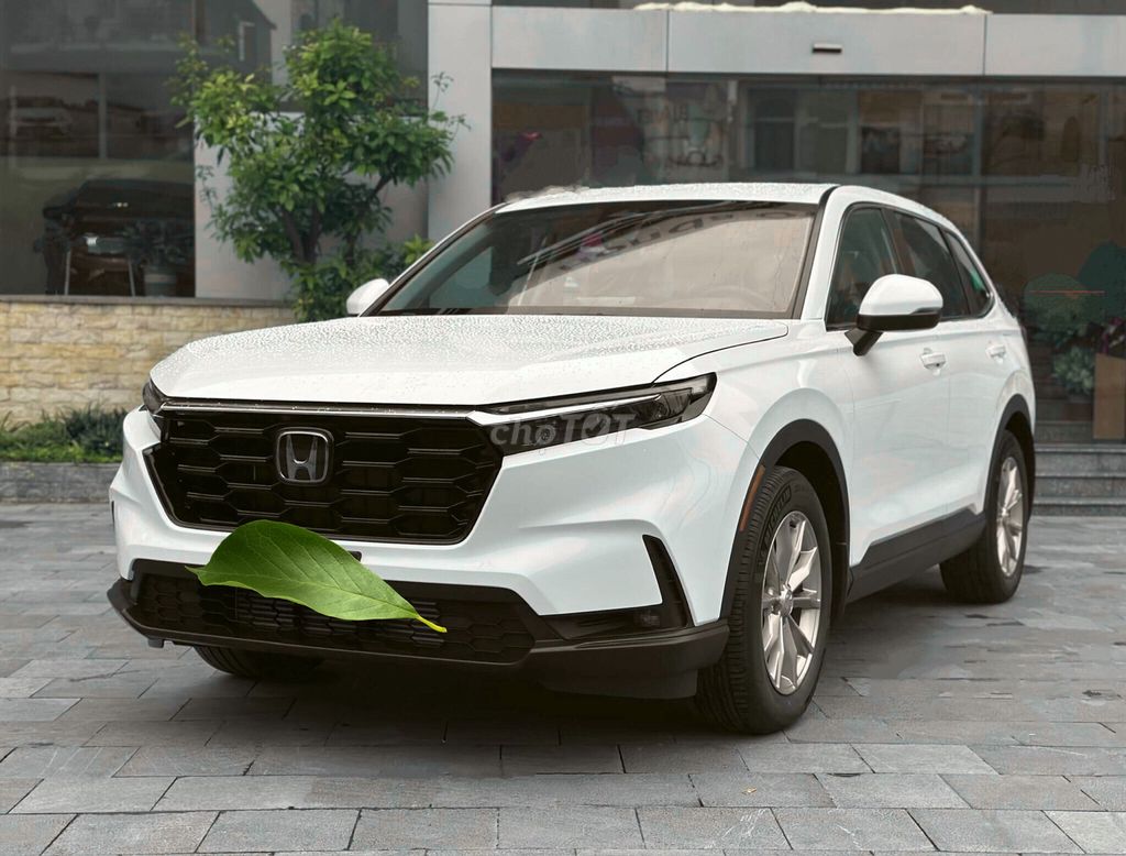 Ảnh số 2