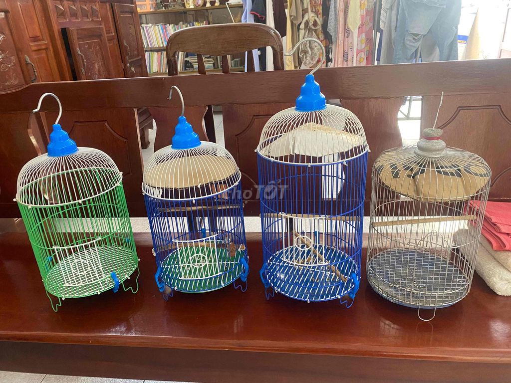 Lông nuôi khuyên hút mật. Mua bán Phụ kiện, Thức ăn, Dịch vụ tại Quận Bình Thạnh Tp Hồ Chí Minh được đăng bởi Trường hình 1