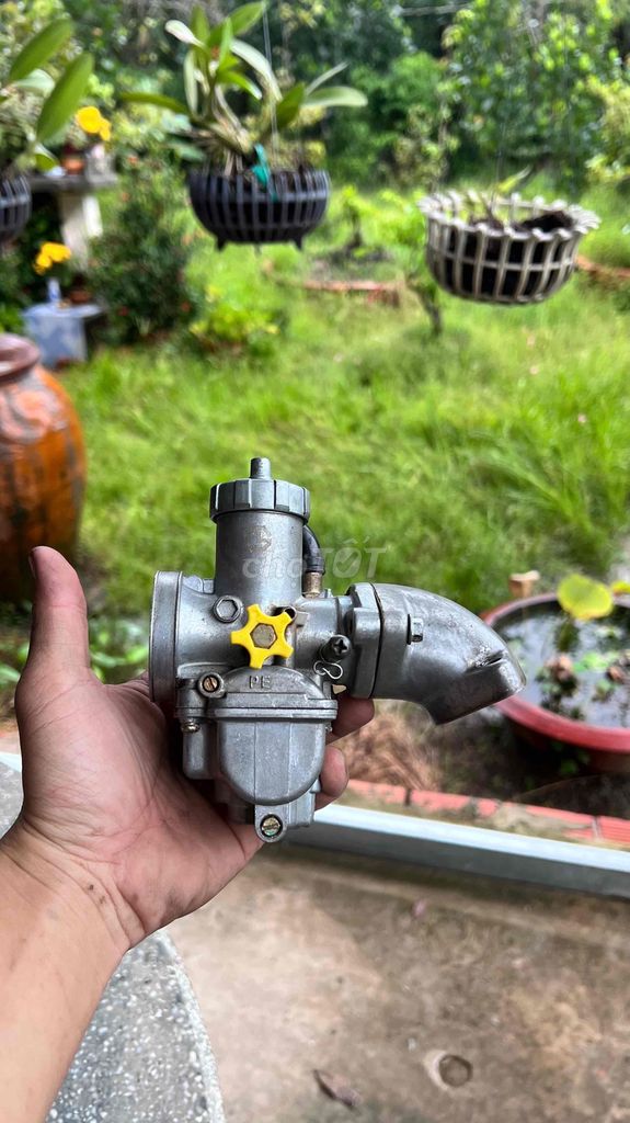 Bình Bông mai và pô e bông mai. Mua bán Phụ tùng xe tại Huyện Cai Lậy Tiền Giang được đăng bởi Thắng Nguyễn hình 2