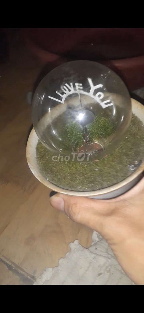 Đèn trang trí thủy tinh. Mua bán Đèn tại Quận 10 Tp Hồ Chí Minh được đăng bởi Hứa hình 1