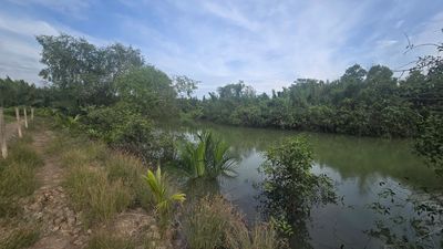 Cho Thuê Đất Trồng Trọt Chăn Nuôi, Giáp Rạch Nước Khu Dân Cư Đông Đúc. Cho thuê đất tại Huyện Cần Giờ Tp Hồ Chí Minh được đăng bởi Long Hòa Trần