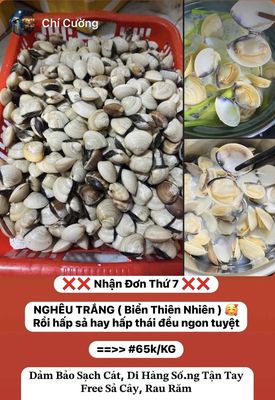 Nghêu , Tôm Càng và Hơn 10 loại hải sản ốc