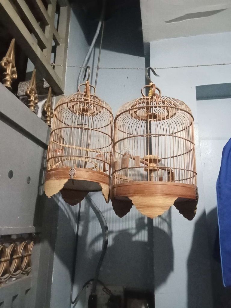 Cả 2 lòng. Mua bán Chim tại Quận Bình Tân Tp Hồ Chí Minh được đăng bởi ok hình 1