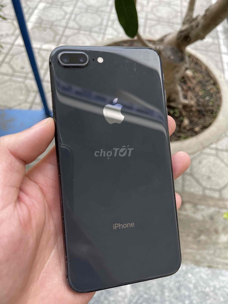 iPhone 8 Plus 64GB quốc tế máy zin full chức năng.. Mua bán Điện thoại tại Thành phố Đà Lạt Lâm Đồng được đăng bởi TORTOISE hình 1