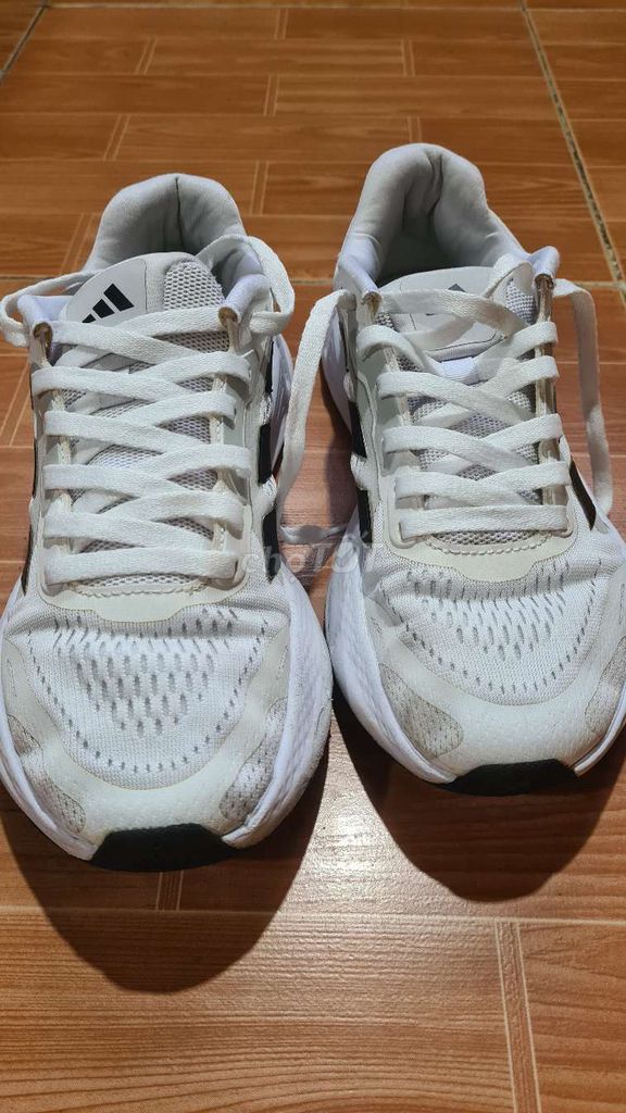Giày thể thao Adidas Questar Nam Trắng 40. Mua bán Giày dép tại Quận Hồng Bàng Hải Phòng được đăng bởi hunghoan hình 1