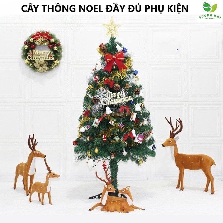 Cây thông Noel đầy đủ phụ kiện  60 cm & 120 cm