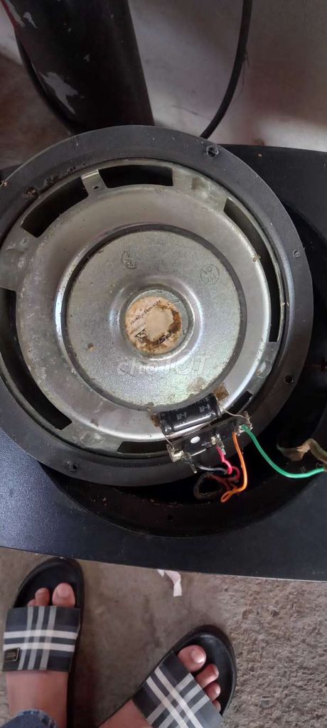 Loa Bose 301 Seri 5. Mua bán Tivi, Âm thanh tại Quận Bình Thuỷ Cần Thơ được đăng bởi Huỳnh Thái TV hình 1