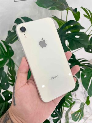 iPhone XR giao lưu. Mua bán Điện thoại tại Huyện Long Điền Bà Rịa - Vũng Tàu được đăng bởi Louis