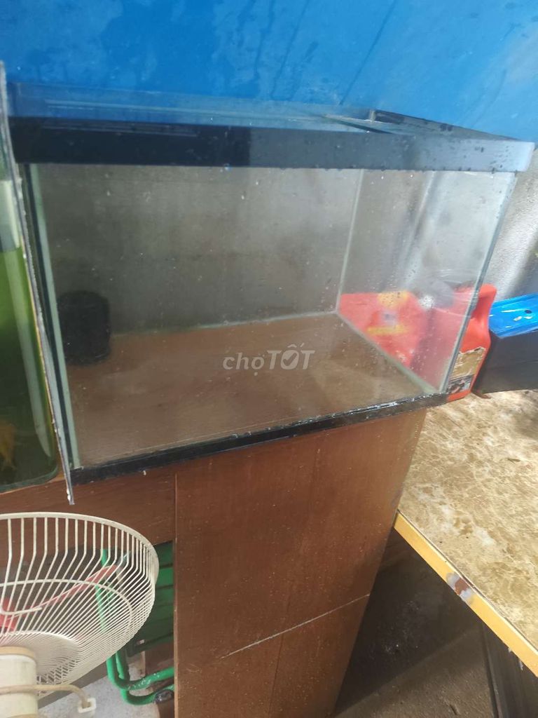 Bể cá kính 50x35x30 cm có bơm. Mua bán Phụ kiện, Thức ăn, Dịch vụ tại Quận 8 Tp Hồ Chí Minh được đăng bởi Sái La hình 1