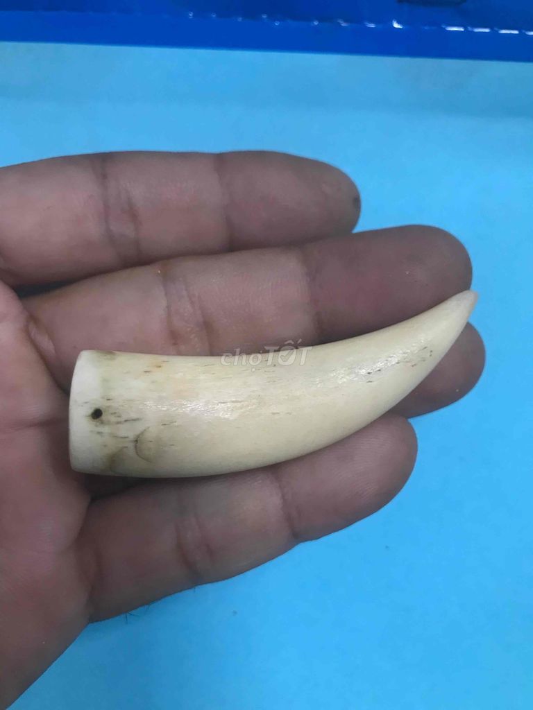 mặt dây chuyền nam. Mua bán Đồ sưu tầm, đồ cổ tại Huyện Tân Phước Tiền Giang được đăng bởi Đồ Nhà Không Dùng hình 1