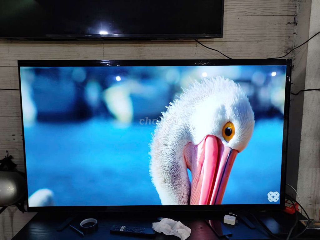 Siêu phẩm Qled 65