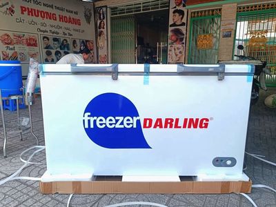 Tủ đông mát Darling 450 lít mới nguyên thùng. Mua bán Tủ lạnh tại Quận 5 Tp Hồ Chí Minh được đăng bởi Quí Vũ Official