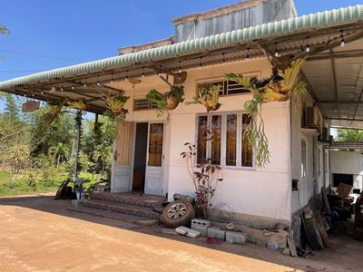 Bán đất 39m MT đường Thác Trời, 7.800m2 Xuân Bắc, Xuân Lộc, Đồng Nai. Mua bán đất tại Huyện Xuân Lộc Đồng Nai được đăng bởi Mr Minh