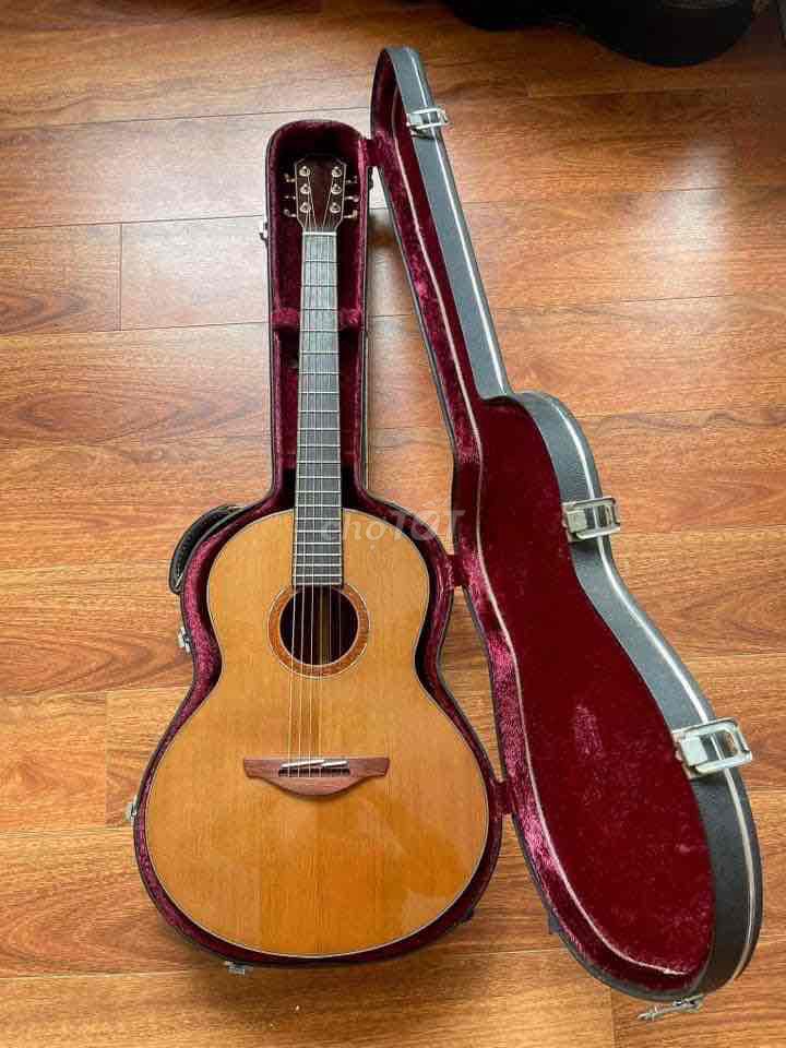 Đàn guitar việt