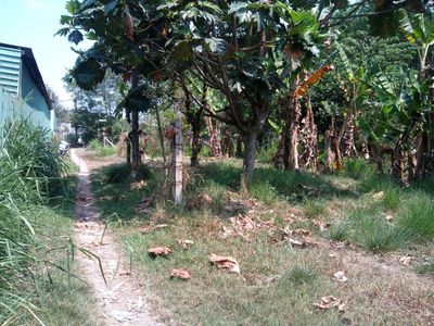 chính chủ cần bán