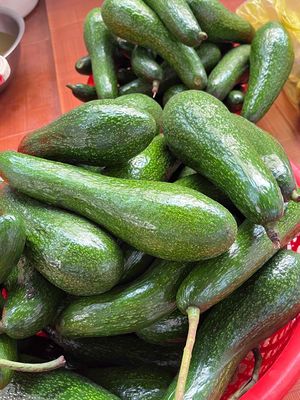 Chuyên Bơ 034 - Bơ Booth - tỉnh Lâm Đồng. Mua bán Đồ ăn, thực phẩm và các loại khác tại Quận Bình Thạnh Tp Hồ Chí Minh được đăng bởi Xưởng rang xay Coffee Phúc Lê