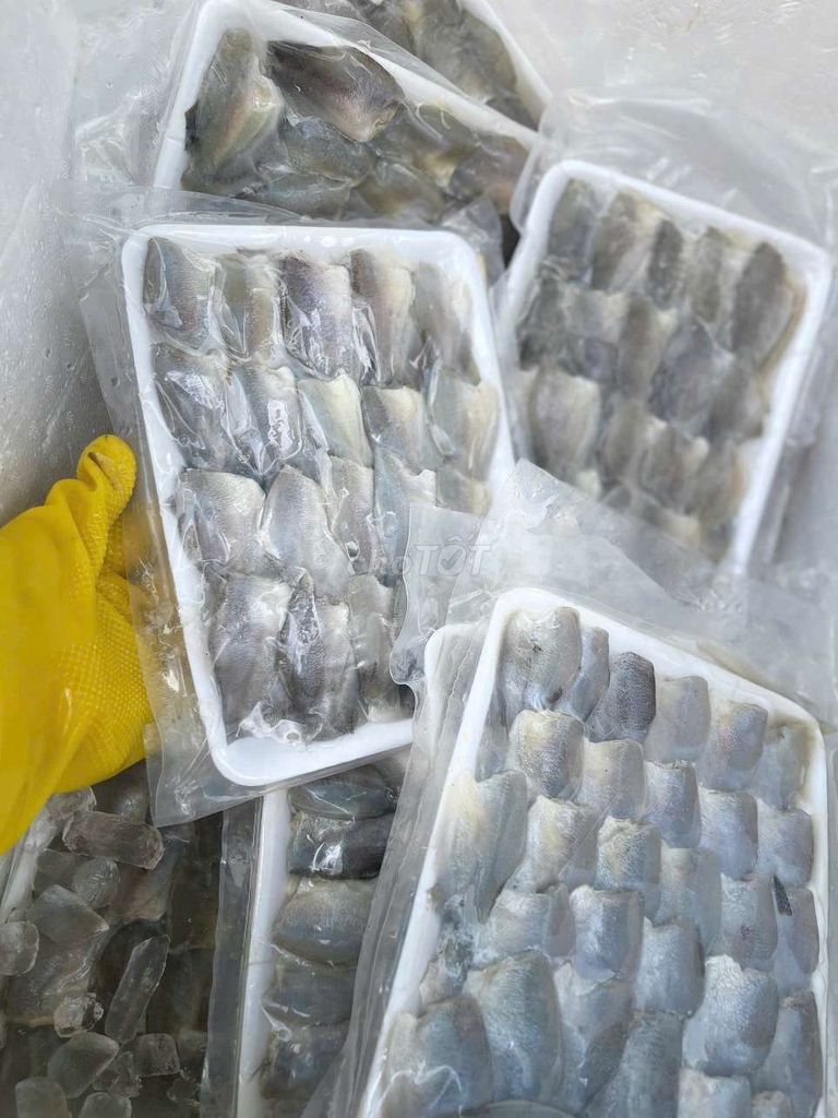 CÁ SẶC RUỘNG THIÊN NHIÊN. Mua bán Đồ ăn, thực phẩm và các loại khác tại Quận Phú Nhuận Tp Hồ Chí Minh được đăng bởi Hà Nhi Cao hình 1