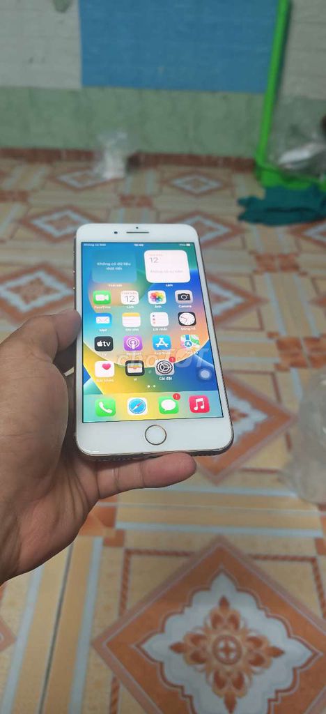 Apple iPhone 8 Plus gold. Mua bán Điện thoại tại Quận 7 Tp Hồ Chí Minh được đăng bởi Nhan Nghiêp hình 1