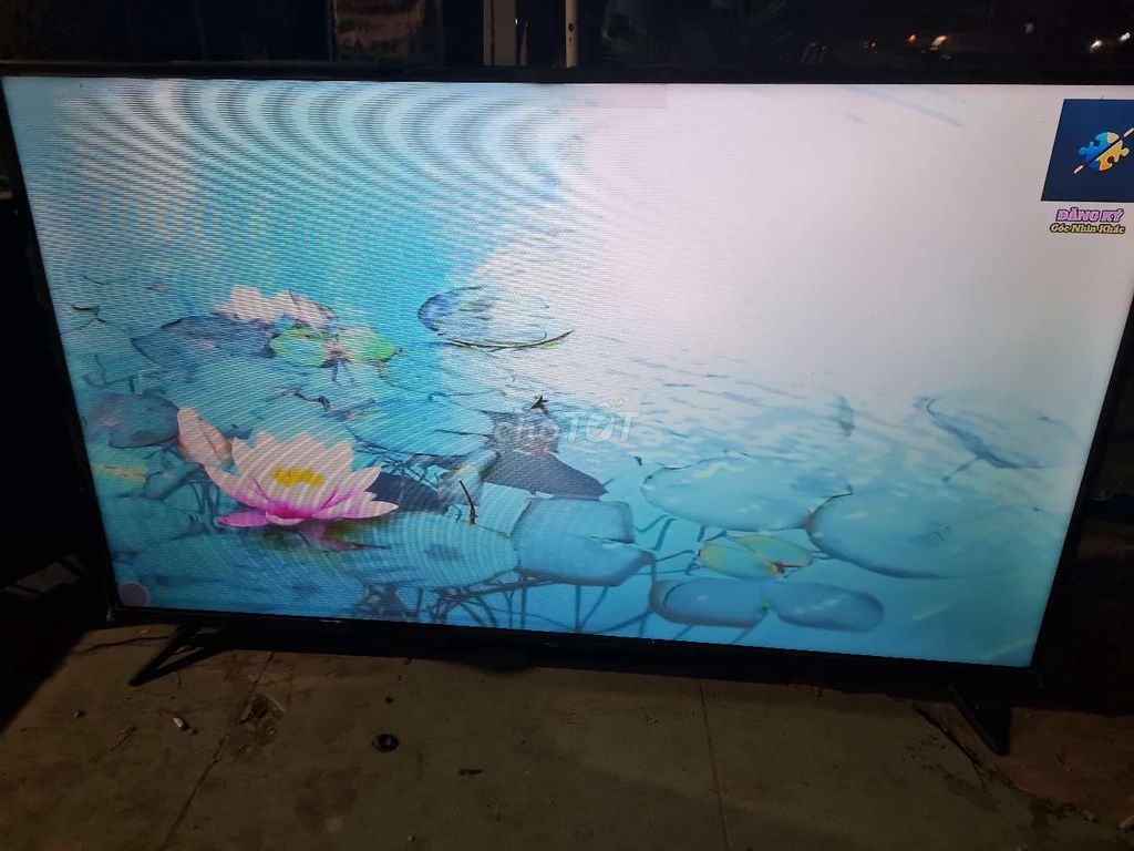 Tivi TCL Smart 55 inch . (P65UF)