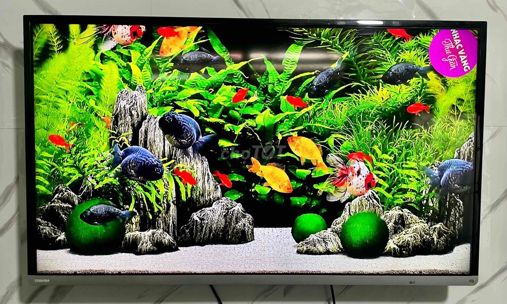 Tivi Led 40inch Toshiba 40L5450 Giao Lắp ✅✅