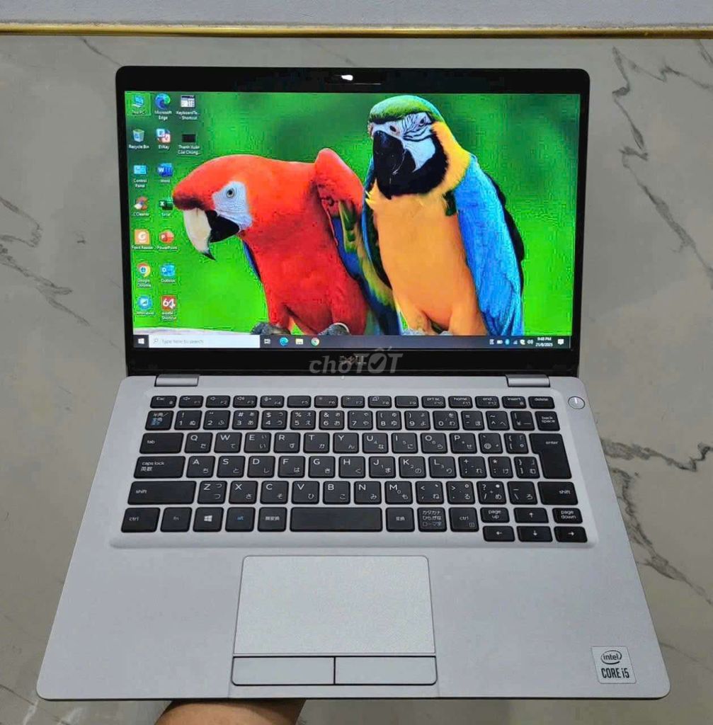 cần thanh lý máy dell. Mua bán Laptop tại Thành phố Vũng Tàu Bà Rịa - Vũng Tàu được đăng bởi A Quang 898 hình 1