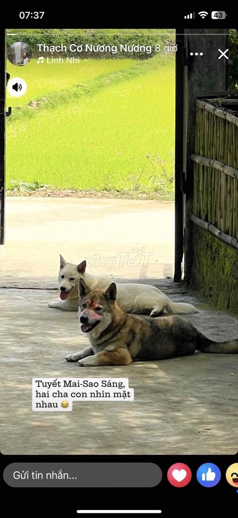 CẦN THANH LÝ MỘT SỐ MẶT HÀNG