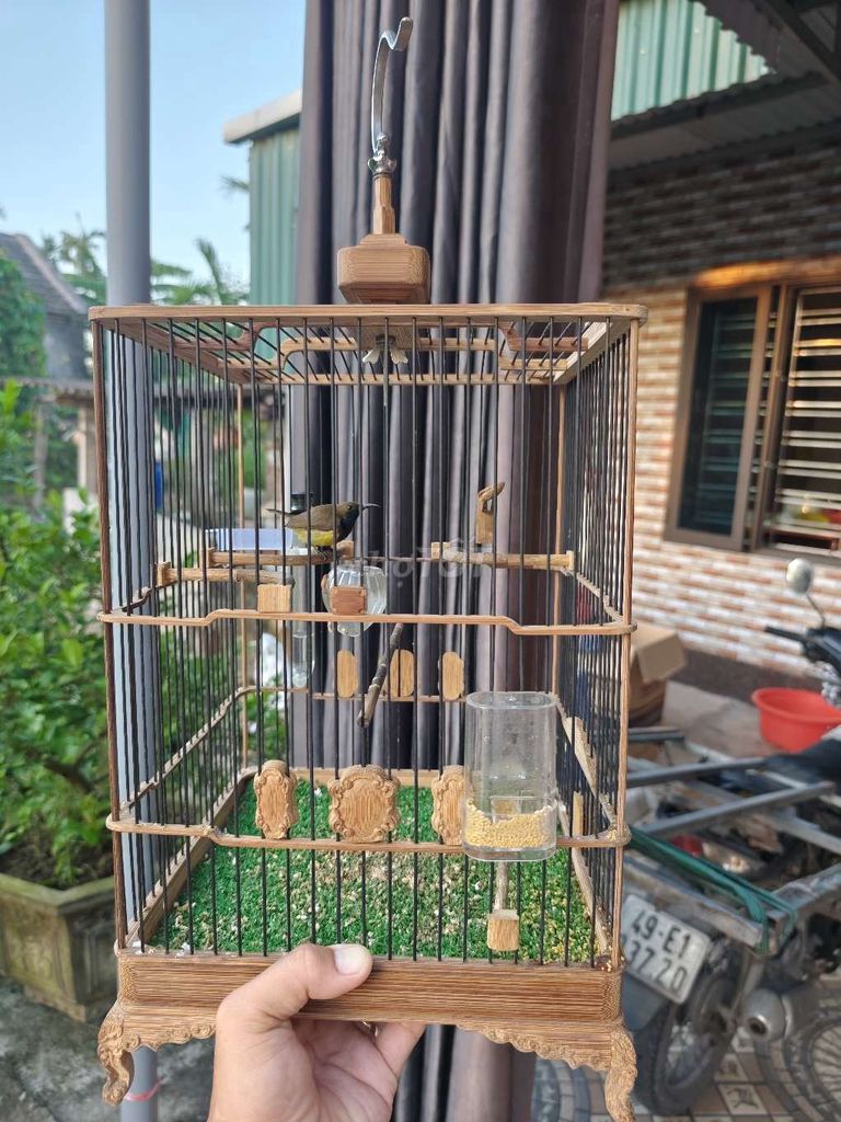 Cần bán 2 bộ hút mật.. Mua bán Chim tại Huyện Trực Ninh Nam Định được đăng bởi Nội Thất Phạm Tổng hình 5