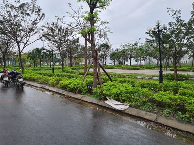 Bán đất đường Thanh Lương 19,Hòa XUân,Cẩm Lệ view công viên