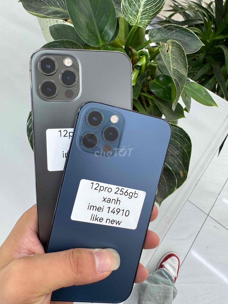 iPhone 12 Pro 256GB Xanh Như mới. Mua bán Điện thoại tại Thành phố Thuận An Bình Dương được đăng bởi H Phone táo chất thuận an hình 1