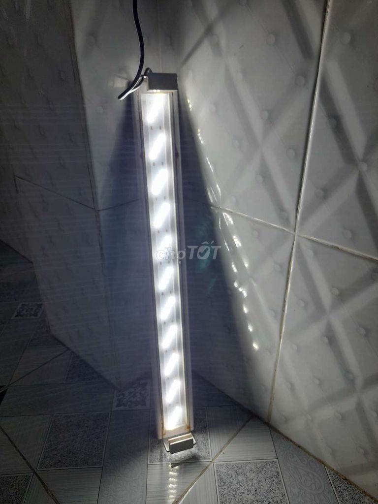 Đèn Led trắng