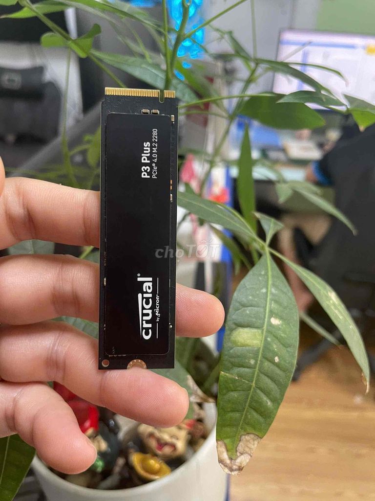 Ổ cứng SSD nvme Crucial 1Tb gen4. Mua bán Linh kiện (RAM, Card...) tại Quận Gò Vấp Tp Hồ Chí Minh được đăng bởi Khánh An hình 1