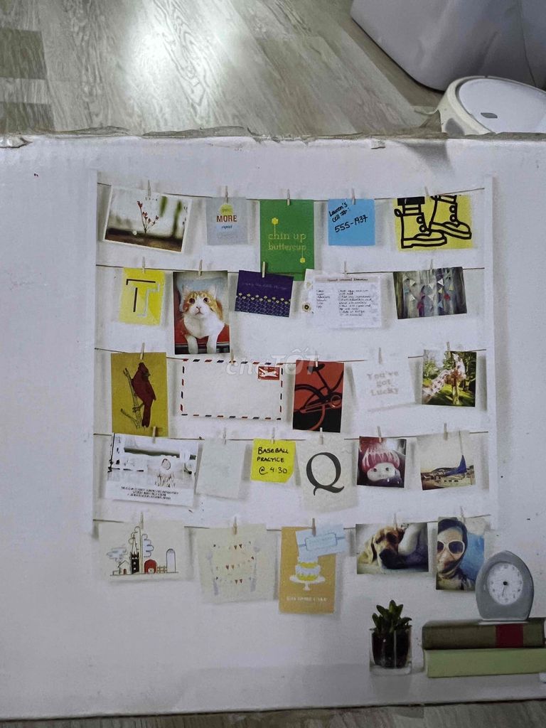 Khung tranh trang trí ảnh mới 100%