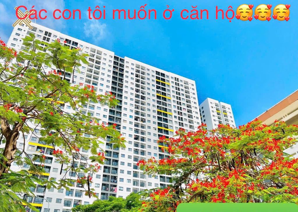 Căn hộ 35m2, gần Aeon và Vsip1, thanh toán 180 triệu dọn vào ở ngay