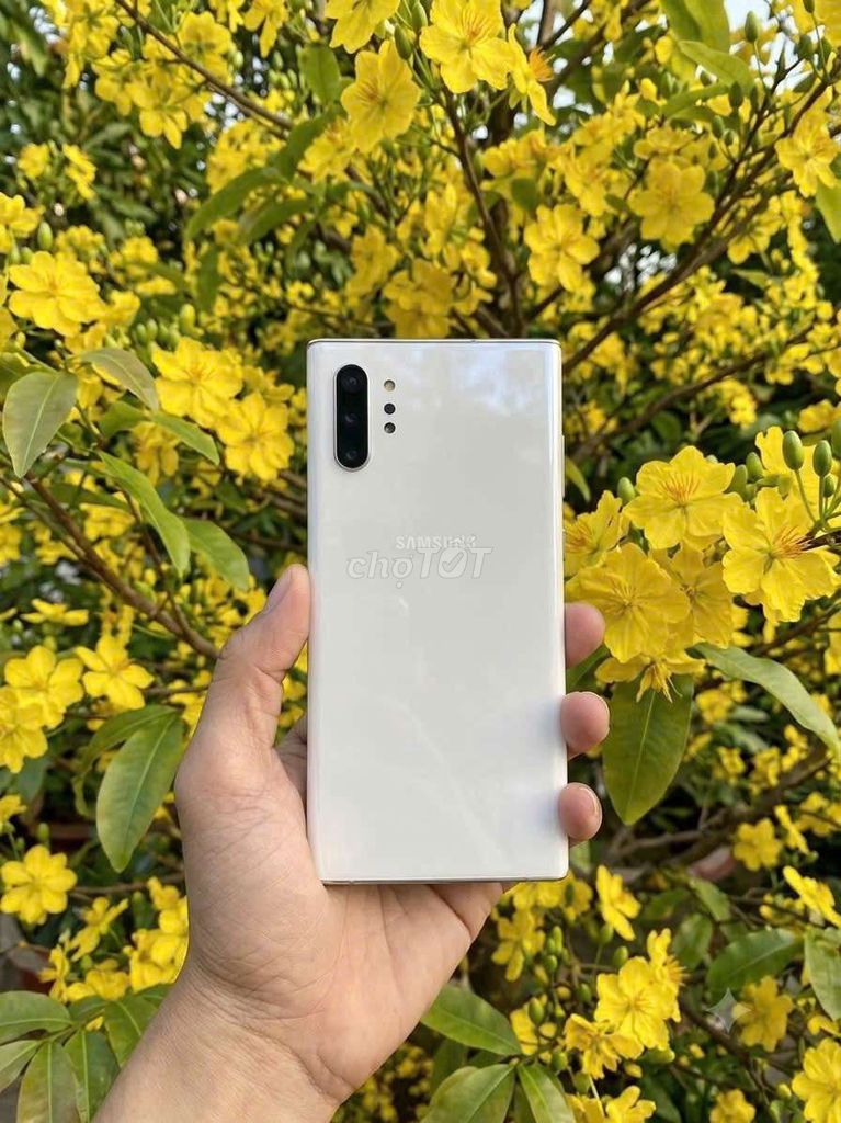 Samsung Note 10 Plus Ram12/512GB . Mua bán Điện thoại tại Thành phố Bến Tre Bến Tre được đăng bởi Gia Hân Mobile  hình 1
