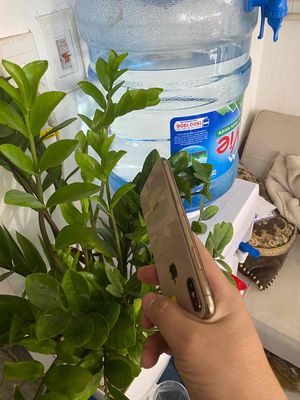 iPhone XS Vàng Đã sử dụng