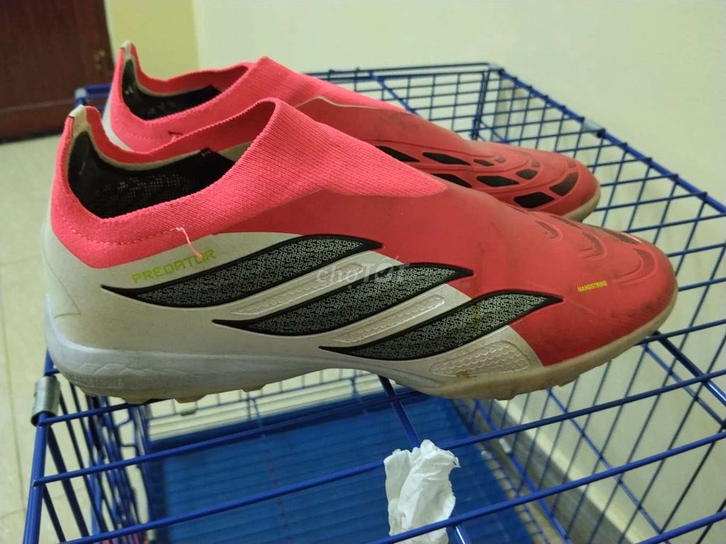 Giày đá bóng Adidas Predator Nam Đã sử dụng